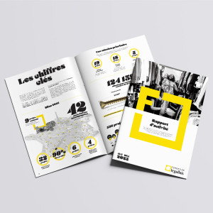rapport_fondation_site_instit