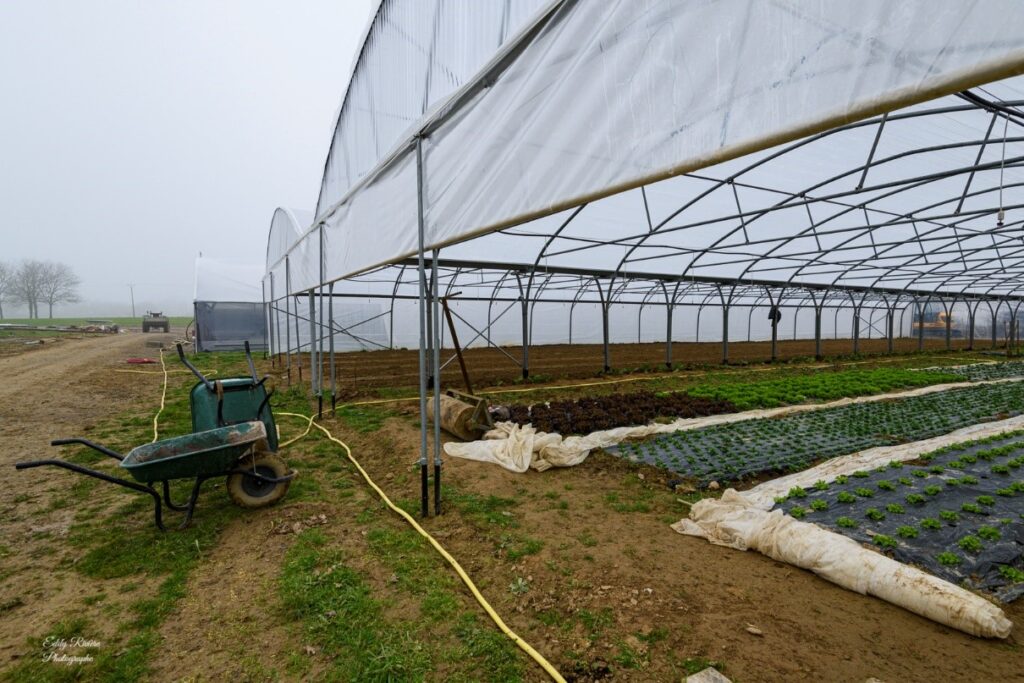 LE CONSERVATOIRE DU POTAGER EXTRAORDINAIRE